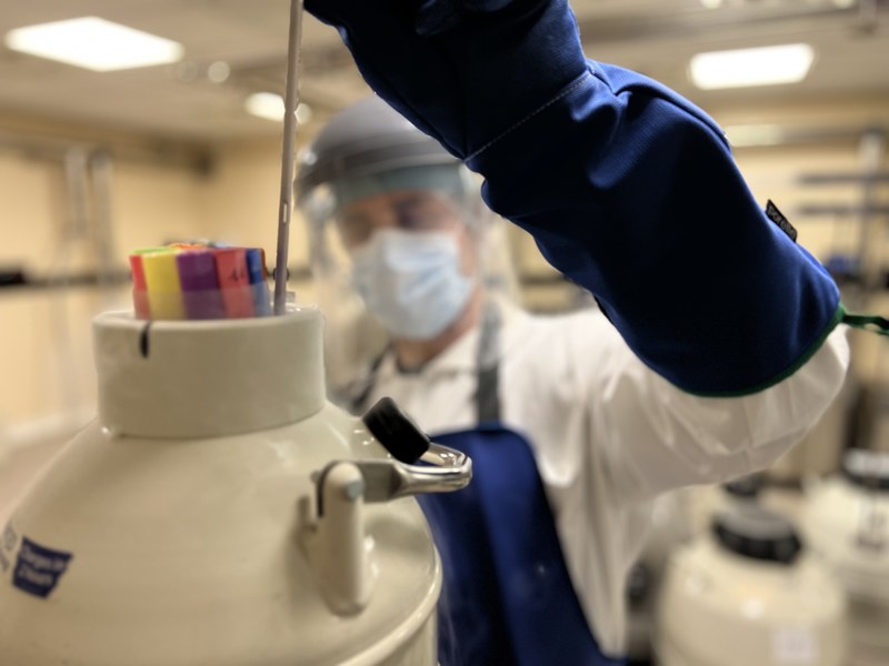 Certificazione Medical Device