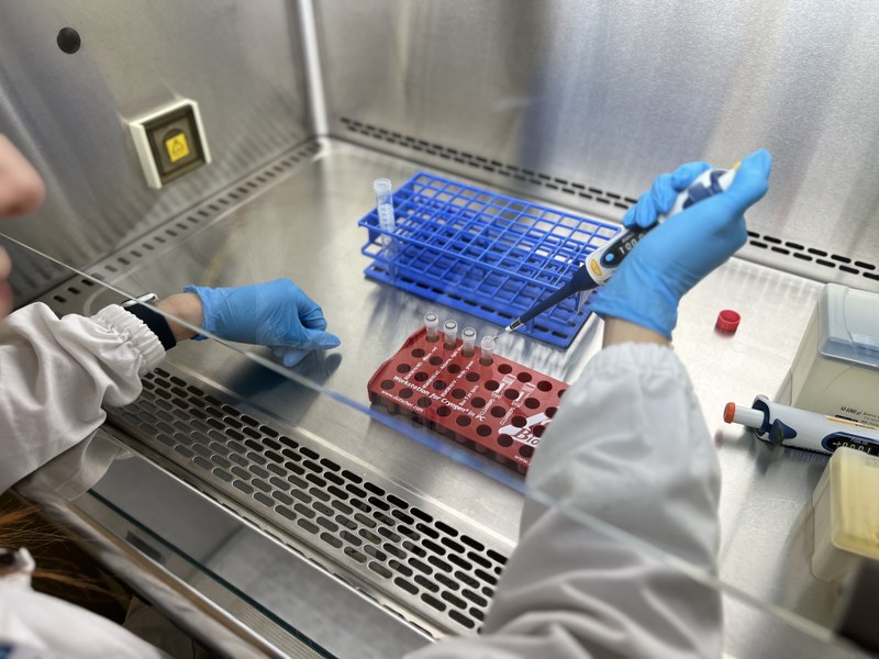 Servizi per Pharma/Biotech